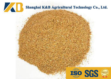 Zertifikat Zufuhr-Grad-gesundes Mais-Protein-Pulver ISO HACCP für Futter